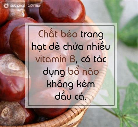 Lòng Mẹ : Một bản tình ca dân gian đầy cảm động và sâu lắng về tình yêu thương vô bờ bến của mẹ